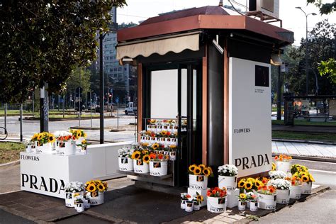 fiori prada repubblica|Prada regala fiori per la nuova campagna, centinaia in coda .